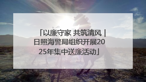 以廉守家 共筑清风｜日照海警局组织开展2025年集中送廉活动