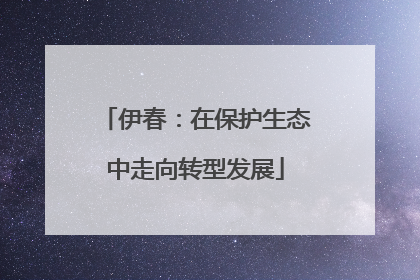 伊春：在保护生态中走向转型发展