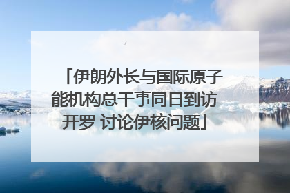 伊朗外长与国际原子能机构总干事同日到访开罗 讨论伊核问题