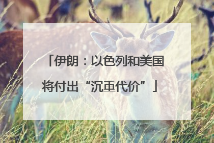 伊朗：以色列和美国将付出“沉重代价”
