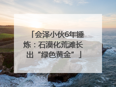 会泽小伙6年锤炼：石漠化荒滩长出“绿色黄金”