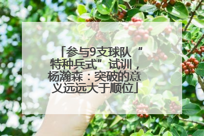 参与9支球队“特种兵式”试训，杨瀚森：突破的意义远远大于顺位