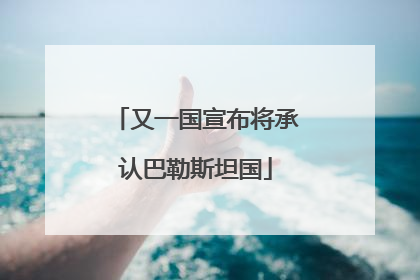 又一国宣布将承认巴勒斯坦国