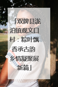双牌县泷泊镇观文口村：粽叶飘香承古韵 乡情凝聚展新篇