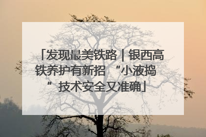 发现最美铁路｜银西高铁养护有新招 “小液捣”技术安全又准确