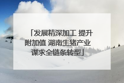 发展精深加工 提升附加值 湖南生猪产业谋求全链条转型