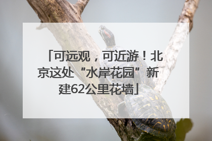 可远观，可近游！北京这处“水岸花园”新建62公里花墙