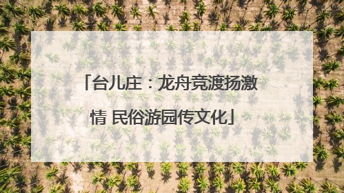 台儿庄：龙舟竞渡扬激情 民俗游园传文化