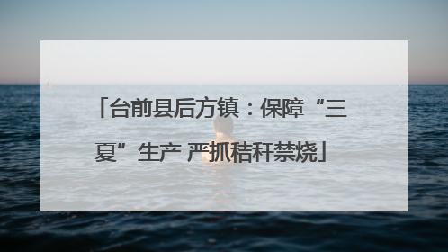 台前县后方镇：保障“三夏”生产 严抓秸秆禁烧