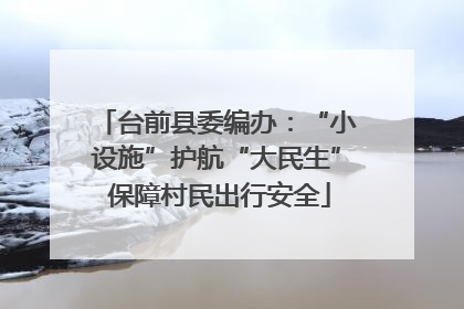 台前县委编办：“小设施”护航“大民生” 保障村民出行安全