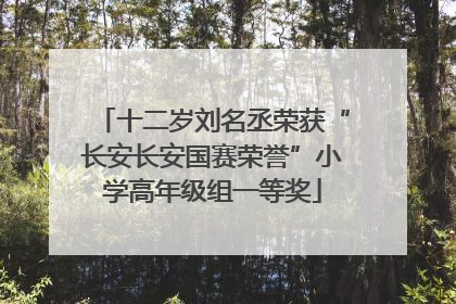 十二岁刘名丞荣获“长安长安国赛荣誉”小学高年级组一等奖