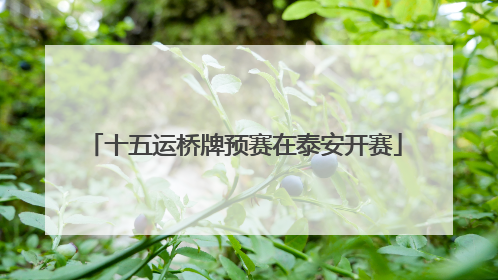 十五运桥牌预赛在泰安开赛