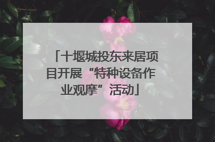 十堰城投东来居项目开展“特种设备作业观摩”活动