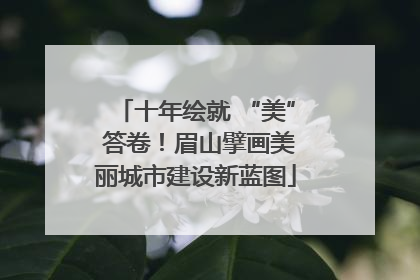 十年绘就 “美” 答卷！眉山擘画美丽城市建设新蓝图