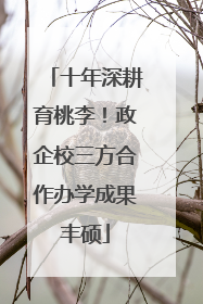 十年深耕育桃李！政企校三方合作办学成果丰硕