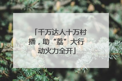千万达人十万村播，助“荔”大行动火力全开