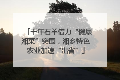 千年石羊借力“健康湘菜”突围，湘乡特色农业加速“出省”