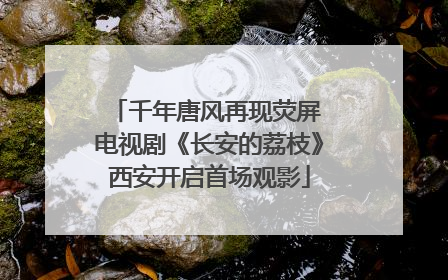 千年唐风再现荧屏 电视剧《长安的荔枝》西安开启首场观影