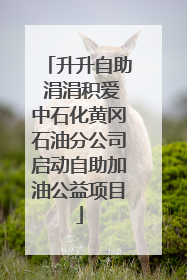 升升自助 涓涓积爱中石化黄冈石油分公司启动自助加油公益项目
