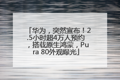 华为，突然宣布！2.5小时超4万人预约，搭载原生鸿蒙，Pura 80外观曝光