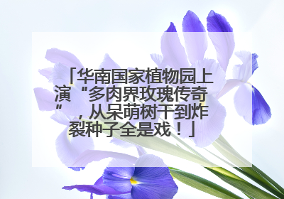 华南国家植物园上演“多肉界玫瑰传奇”，从呆萌树干到炸裂种子全是戏！