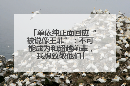单依纯正面回应“被说像王菲”：不可能成为和超越前辈，我想致敬他们