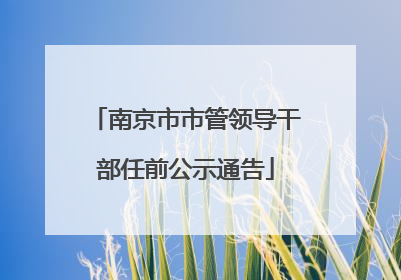 南京市市管领导干部任前公示通告