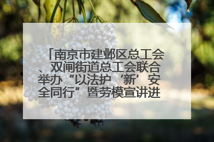 南京市建邺区总工会、双闸街道总工会联合举办“以法护‘新’安全同行”暨劳模宣讲进工地服务活动