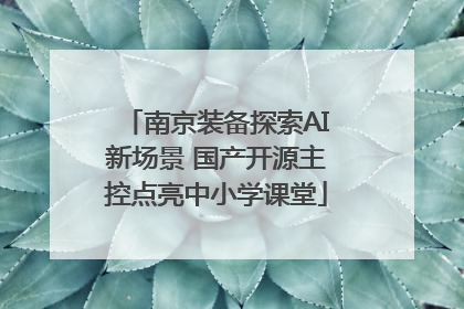 南京装备探索AI新场景 国产开源主控点亮中小学课堂