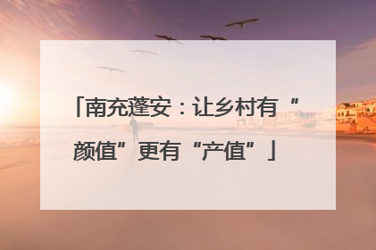 南充蓬安：让乡村有“颜值”更有“产值”
