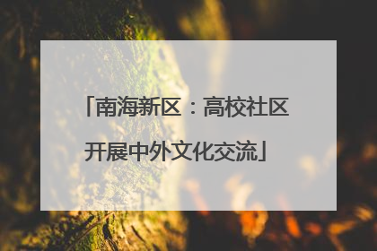 南海新区：高校社区开展中外文化交流