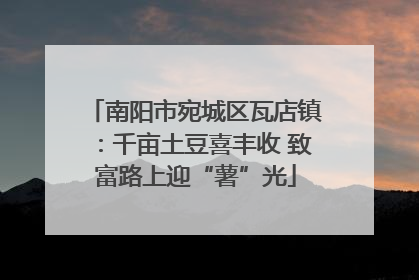 南阳市宛城区瓦店镇：千亩土豆喜丰收 致富路上迎“薯”光