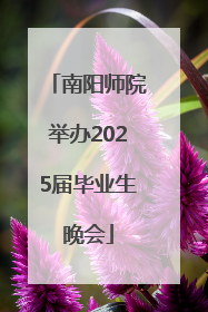 南阳师院举办2025届毕业生晚会