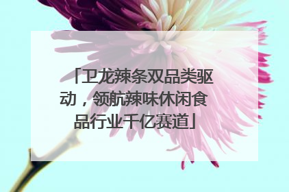 卫龙辣条双品类驱动，领航辣味休闲食品行业千亿赛道