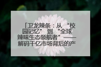 卫龙辣条：从 “校园记忆” 到 “全球辣味生态领航者”——解码千亿市场背后的产品创新与全链路破圈