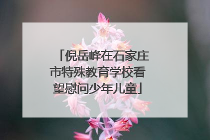 倪岳峰在石家庄市特殊教育学校看望慰问少年儿童