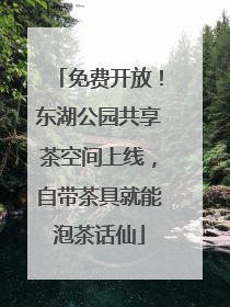 免费开放！东湖公园共享茶空间上线，自带茶具就能泡茶话仙