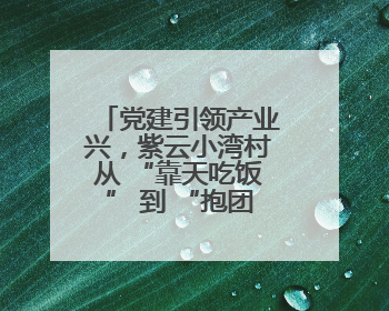 党建引领产业兴，紫云小湾村从 “靠天吃饭” 到 “抱团生金”