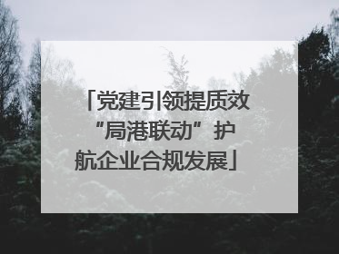 党建引领提质效 “局港联动”护航企业合规发展