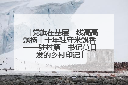 党旗在基层一线高高飘扬丨十年驻守米飘香——驻村第一书记莫日发的乡村印记