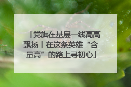 党旗在基层一线高高飘扬丨在这条英雄“含量高”的路上寻初心