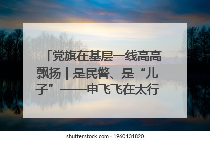 党旗在基层一线高高飘扬｜是民警、是“儿子”——申飞飞在太行山中的一线坚守