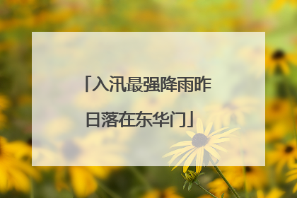入汛最强降雨昨日落在东华门