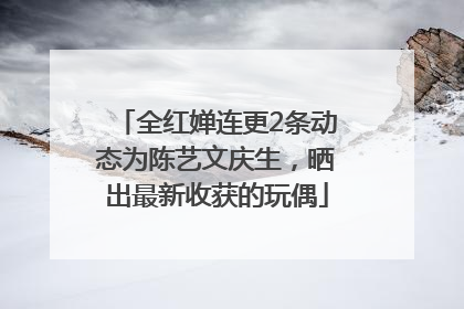 全红婵连更2条动态为陈艺文庆生，晒出最新收获的玩偶
