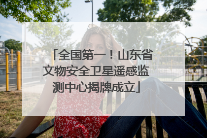 全国第一！山东省文物安全卫星遥感监测中心揭牌成立