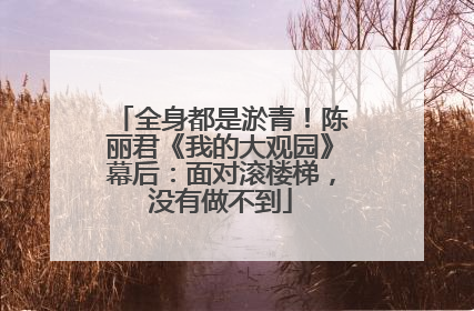 全身都是淤青！陈丽君《我的大观园》幕后：面对滚楼梯，没有做不到