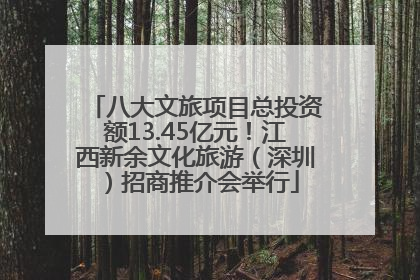八大文旅项目总投资额13.45亿元！江西新余文化旅游（深圳）招商推介会举行