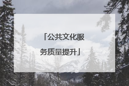 公共文化服务质量提升