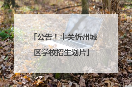 公告！事关忻州城区学校招生划片