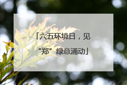 六五环境日，见“郑”绿意涌动